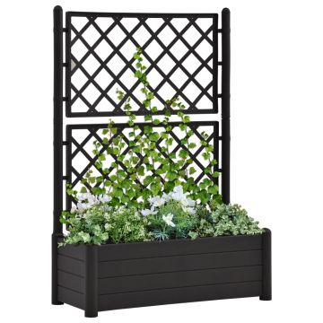 vidaXL Jardinieră de grădină cu spalier, antracit, 100x43x142, PP